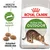 ROYAL CANIN Active Life OUTDOOR cat food bag, text: Health Nutrition, Activity support, Adapted kibble size. Image of a cat and three pieces of round brown kibble.