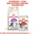 Royal Canin Regular Sensible 33 tørfoder og Royal Canin Instinctive vådfoder 85 g. Tekst: Kombiner 1 pose med kattens daglige foderpiller.