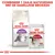 Royal Canin Regular Sensible 33 kattenbrokken en Royal Canin Instinctive natvoeding, tekst: Combineer 1 zakje natvoeding met de dagelijkse brokken.
