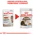 Royal Canin Ageing 12+ kattenvoer, oude en nieuwe verpakking, tekst: Nieuwe uitstraling, verbeterde formule. Beide verpakkingen tonen kat en gelei-voeding, 85 g.