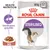 Pachet Royal Canin Sterilised, 85g x12. Text vizibil: STERILISED, Menținerea greutății, SOS. Imagine cu pisică și hrană umedă în sos.