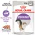 Royal Canin STERILISED, 85 g x12, mantenimento del peso ideale, morbido patè, immagine di gatto. Testo visibile: Health Nutrition. Royal Canin STERILISED, 85 g x12, mantenimento del peso ideale, morbido patè, immagine di gatto. Testo visibile: Health Nutrition.