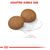 Две круглые гранулы корма, диаметр около 1 см. Надпись на английском: ADAPTED KIBBLE SIZE.