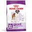 Royal Canin Giant Adult - Sparpaket: 2 x 15 kg
