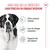 Royal Canin Giant Junior Royal Canin Giant Junior