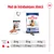 Mod de întrebuințare zilnică Royal Canin Maxi Ageing 8+: pentru câini 26 kg – 1 conservă + 222 g, 35 kg – 1 conservă + 302 g, 44 kg – 1 conservă + 377 g.