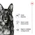 Saúde digestiva, apoio à saúde osteoarticular, suporte à vitalidade ao longo da vida. Imagem de cão pastor alemão e ícones ilustrativos.