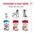 Alimentazione su misura adattata all’età del tuo cane. Da 2 a 12 mesi: Royal Canin Puppy, da 12 mesi a 7 anni: Medium Adult, oltre 7 anni: Medium Ageing, confezioni da 140 g.