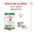Bland tørfoder og vådfoder for en optimal foderoplevelse. Royal Canin mini adult S op til 10 kg, tør- og vådfoder vises med emballage og foder på tallerken.