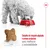Cão a comer ração de uma taça vermelha, croquete em destaque com escala de 1 cm. Texto: Tamanho do croquete adaptado e aromas exclusivos para melhorar a palatabilidade. Cão a comer ração de uma taça vermelha, croquete em destaque com escala de 1 cm. Texto: Tamanho do croquete adaptado e aromas exclusivos para melhorar a palatabilidade.