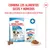 Royal Canin Mini Puppy en salsa Royal Canin Mini Puppy en salsa