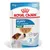 Royal Canin Mini Puppy em molho