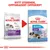 Royal Canin Giant Starter Mother & Babydog Royal Canin Giant Starter Mother & Babydog