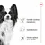 Santé du système immunitaire, santé dentaire, soutien optimal de la vitalité – texte visible à côté d’un chien noir et blanc, logo Royal Canin en haut à droite.