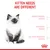 Text på engelska: Kitten needs are different. Fragile immune system, discovery period, delicate digestive system. Bild på kattunge och Royal Canin-symbol längst ner.