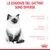 Le esigenze del gattino sono diverse: difese naturali immature, periodo di scoperta, sistema digestivo delicato. Immagine di un gattino e logo Royal Canin visibile.