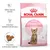 Royal Canin Kitten Sterilised 6–12 months, difese naturali ottimali, crescita e mantenimento del peso, crocchette di dimensione adattata, confezione con gatto e numero 4 stage