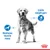 Image showing benefits: maintains muscle mass and limits weight gain, with icons and text highlighting these features next to a standing dog.