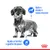 Royal Canin Mini Light Weight Care