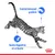 Chat tacheté en saut avec texte : Instinctivement préféré, Santé digestive et urinaire. Logo Royal Canin visible en bas à droite.