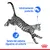 Testi visibili: Istintivamente preferito. Salute del sistema digestivo ed urinario. Immagine di un gatto con simboli grafici blu e logo Royal Canin rosso in basso a destra.