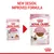 Comparison of old and new Royal Canin Kitten food packaging, highlighting new design and improved formula for kittens up to 12 months, 85g pouch, in gravy, no preservatives.