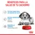 Beneficios para la salud de tu cachorro: textura suave para los dientes de leche, sistema inmunitario fuerte con vitaminas y antioxidantes, desarrollo cerebral con DHA. Royal Canin.