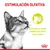 Texto: ESTIMULACIÓN OLFATIVA. Estimula el agudo sentido del olfato de los gatos. Imagen de un gato y gráfico explicativo. Logotipo Royal Canin visible.