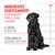 Ingredientes cientificamente comprovados para ajudar a apoiar a saúde digestiva e o equilíbrio da microbiota intestinal. Texto promocional com cão preto sentado.