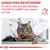 KONSULTERA DIN VETERINÄR för att ta reda på vilket dietfoder från ROYAL CANIN® som passar din katt. VETERINARY NUTRITION. Bild på katt hos veterinär.