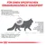 Grafik zur Nierenfunktion bei Katzen: Abbauprodukte werden nicht ausreichend gefiltert, Symptome wie Futteraversion und Verdauungsstörungen beeinträchtigen Lebensqualität.
