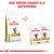 Royal Canin Urinary S/O kattenvoer, droog- en natvoeding verpakkingen zichtbaar. Tekst: 'Ook verkrijgbaar als natvoeding'.