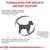 Formulated for specific dietary support. Highlights: healthy habits and diet are essential; small dogs may have oral health issues and urinary sensitivities due to low urine volume.