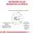 NUTRICIÓN SALUD BASADA EN LA CIENCIA. Niveles de purina controlados con precisión. Proteínas de alta calidad y fácilmente digestibles con bajos niveles en purinas. Favorece un pH urinario óptimo.