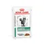 Royal Canin Veterinary Feline Diabetic, w sosie - 24 x 85 g