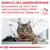 SKONSULTUJ SIĘ Z LEKARZEM WETERYNARII aby dowiedzieć się, która z karm weterynaryjnych ROYAL CANIN jest odpowiednia dla Twojego kota. VETERINARY NUTRITION.