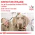 KONTAKT DIN DYRLÆGE for at få anbefalet hvilken ROYAL CANIN diæt der er korrekt til din hund. VETERINARY NUTRITION.