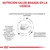 NUTRICIÓN SALUD BASADA EN LA CIENCIA. Ingredientes altamente digestibles, nivel adaptado de electrolitos, omega-3 EPA+DHA, vitaminas E y C, taurina, alta palatabilidad.