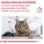 KONSULTERA DIN VETERINÄR för att ta reda på vilket foder eller dietfoder från ROYAL CANIN som passar din katt. VETERINARY NUTRITION. Bild på katt hos veterinär.