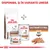 Royal Canin Gastrointestinal Low Fat pentru câini, variantă uscată și umedă. Text vizibil: GASTROINTESTINAL LOW FAT PATE. Disponibil și în variantă umedă.