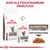 Royal Canin Gastrointestinal Moderate Calorie für Katzen, erhältlich als Trocken- und Feuchtnahrung. Feine Stückchen in Sosse.