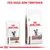 Royal Canin Gastrointestinal Moderate Calorie kattefoder, vådfoder og tørfoder, tekst: Fås også som tørfoder. Billeder af begge produkttyper med kattegrafik på emballagen.