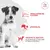 Royal Canin Veterinary Canine Glycobalance Small Dog