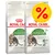Royal Canin Active Life Outdoor 7+ kissanruokapakkaukset, tarjousmerkki näkyvissä. Pakkauksessa kuva kissasta ja teksti: Active Life OUTDOOR 7+ years. Royal Canin Active Life Outdoor 7+ kissanruokapakkaukset, tarjousmerkki näkyvissä. Pakkauksessa kuva kissasta ja teksti: Active Life OUTDOOR 7+ years.