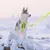 Hund trägt leuchtend gelbes Geschirr mit passender Leine im Schnee. Das Bild zeigt die Anwendung des Geschirrs im Außenbereich. Hund trägt leuchtend gelbes Geschirr mit passender Leine im Schnee. Das Bild zeigt die Anwendung des Geschirrs im Außenbereich.