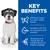 Key benefits: αποτελεσματική απώλεια βάρους, ιχθυέλαιο πλούσιο σε ωμέγα-3 για υγεία αρθρώσεων, γλυκοζαμίνη και χονδροϊτίνη για υγιή χόνδρο. Το κείμενο είναι στα αγγλικά.