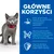 Główne korzyści: 100% zbilansowane żywienie, wysokiej jakości białko wspiera mięśnie i szczupłą sylwetkę, przeciwutleniacze wspomagają zdrowy układ odpornościowy. Tekst po polsku.
