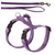 Harnais et laisse en nylon violet avec boucles en plastique noir et mousqueton métallique, sans marque visible.