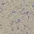 Close-up of cat litter with grey granules and blue particles.