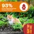 93% dintre medicii veterinari recomandă formula noastră Urinary. Imagine cu o pisică în grădină și ambalajul produsului Urinary & Renal Care Paste. 93% dintre medicii veterinari recomandă formula noastră Urinary. Imagine cu o pisică în grădină și ambalajul produsului Urinary & Renal Care Paste.